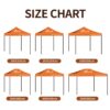 Customized Color Party Tent
