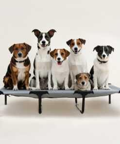Cat Dog Tent