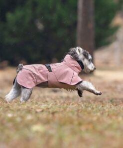 Pet Dog Raincoat