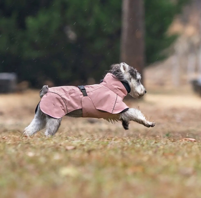 Pet Dog Raincoat