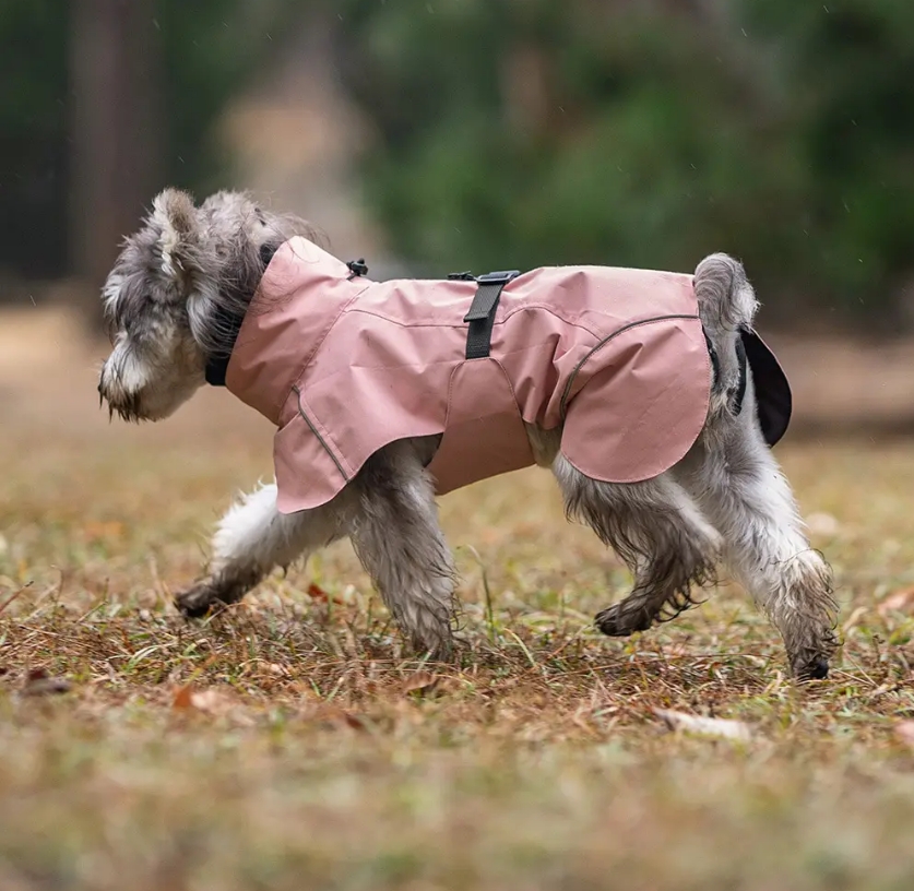 Pet Dog Raincoat