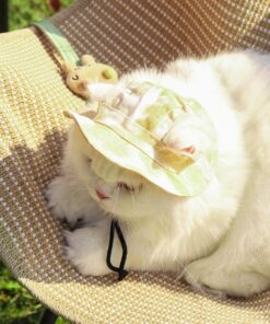 Pet chair
