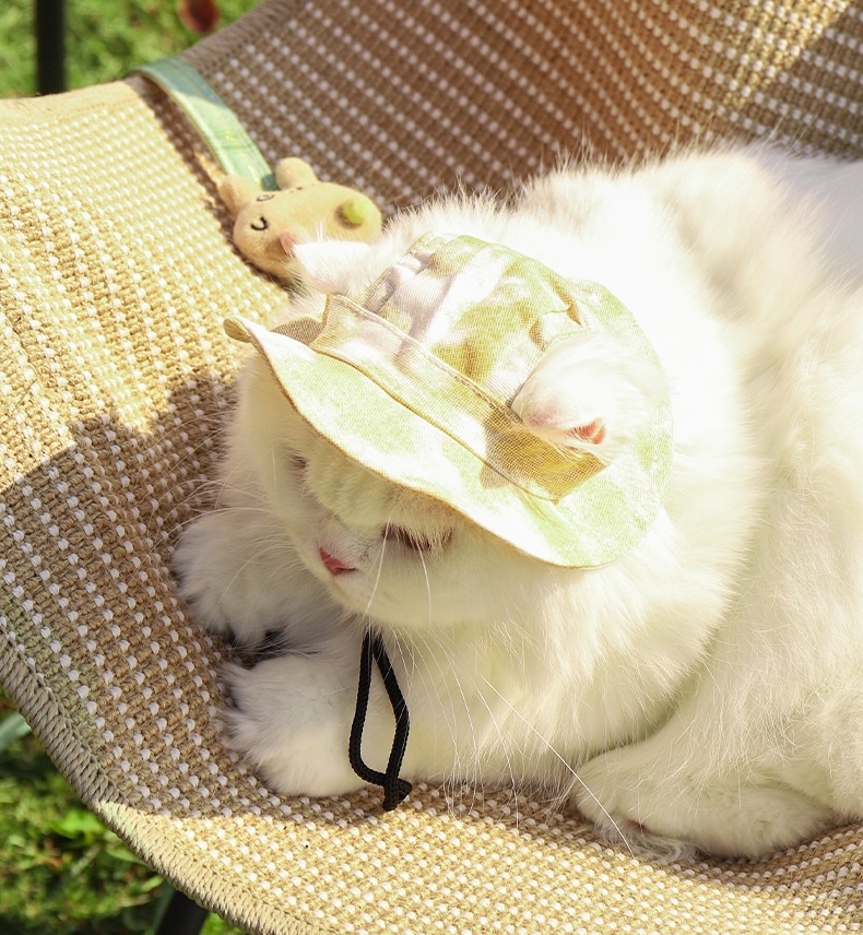 Pet chair