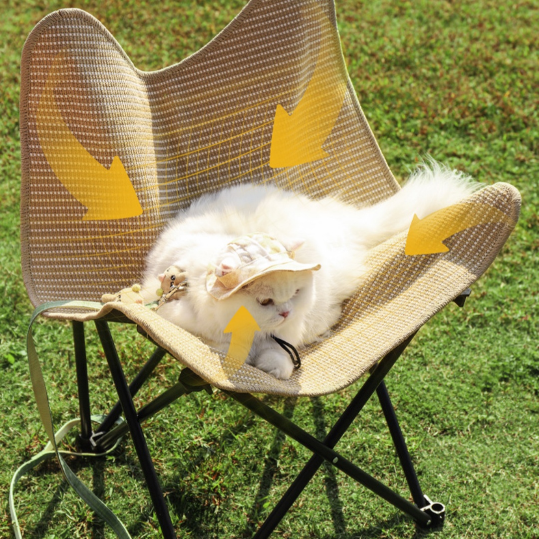 Pet chair