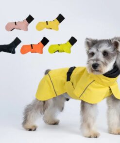 Pet Dog Raincoat