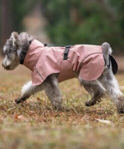 Pet Dog Raincoat